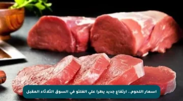 أسعار اللحوم.. ارتفاع جديد يطرأ على الفلتو في السوق الثلاثاء المقبل